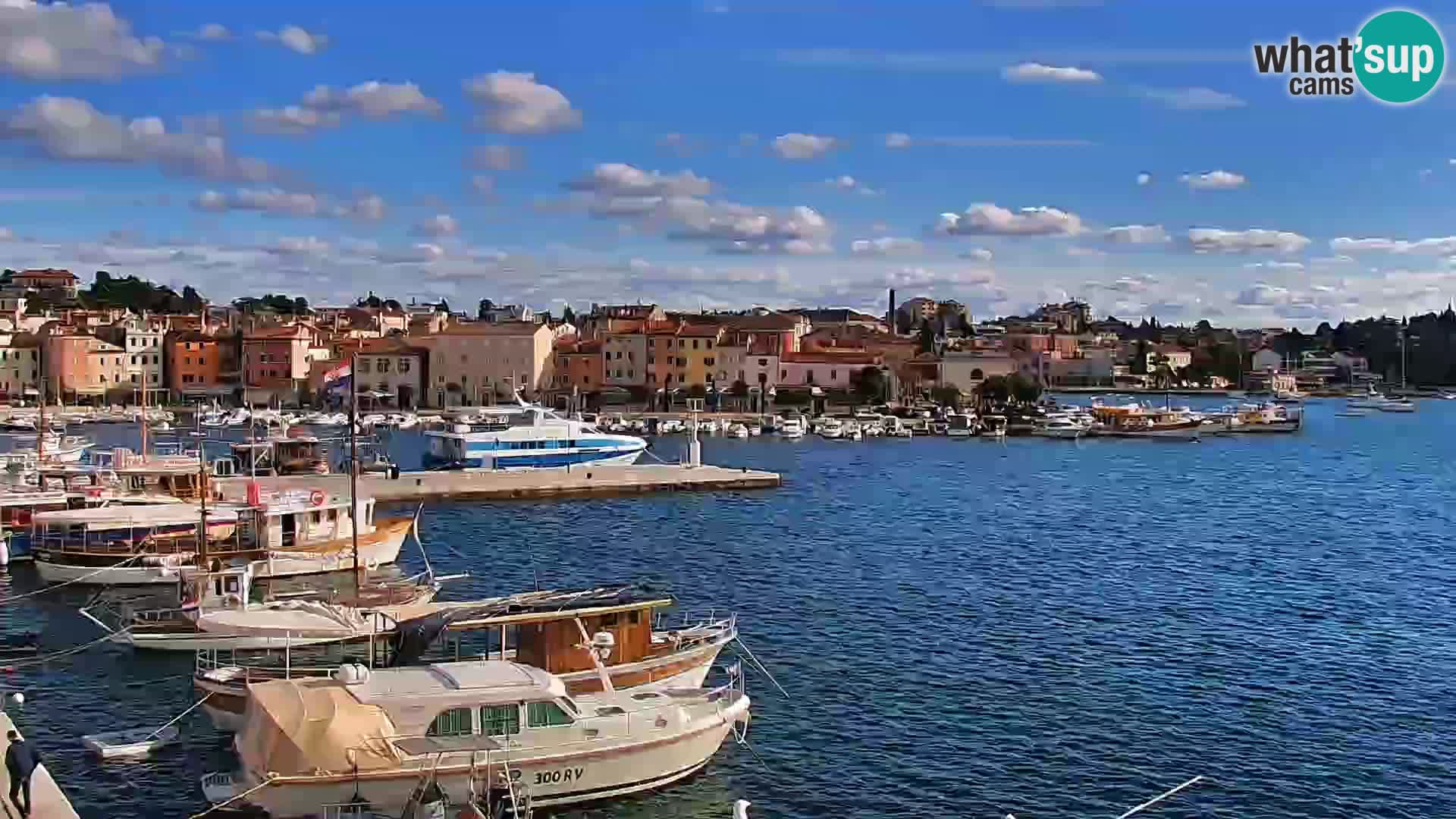 Rovinj webcam promenade and marina – Istria – Croatia