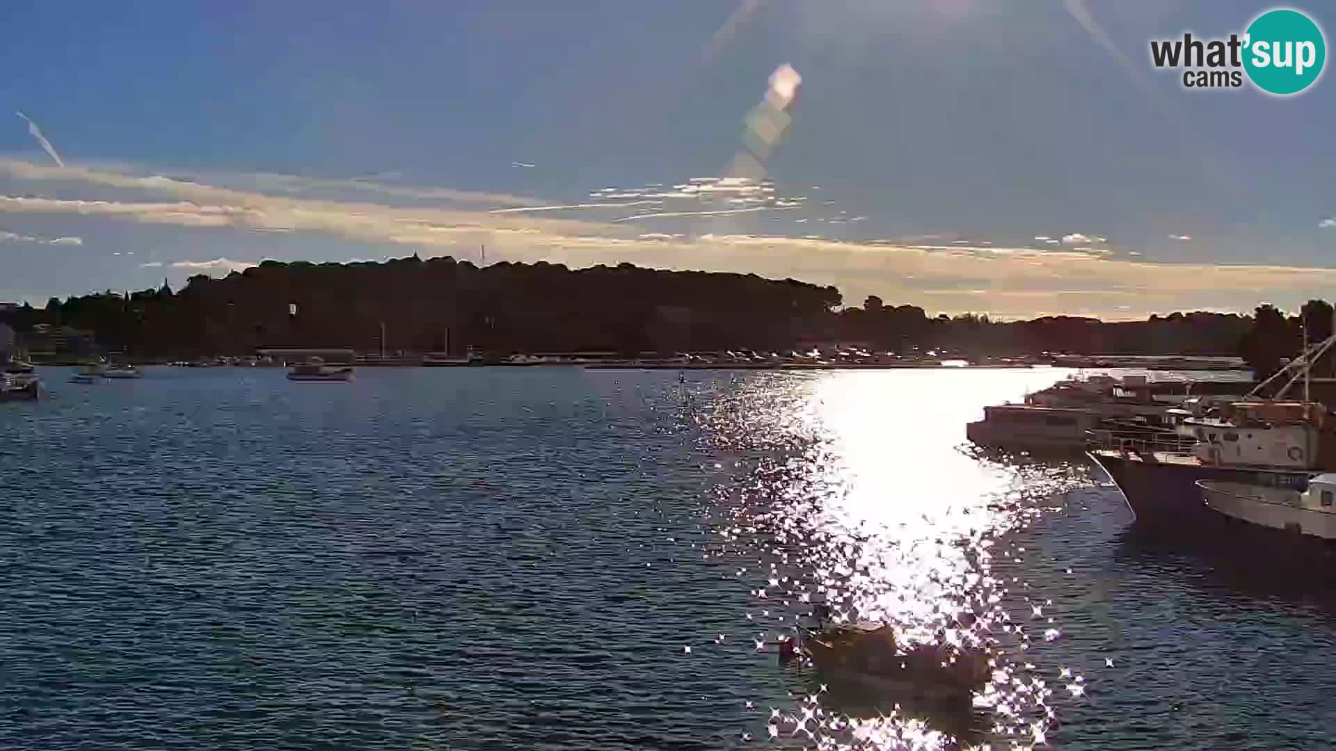 Spletna kamera Rovinj promenada in marina | Rovinj Vreme