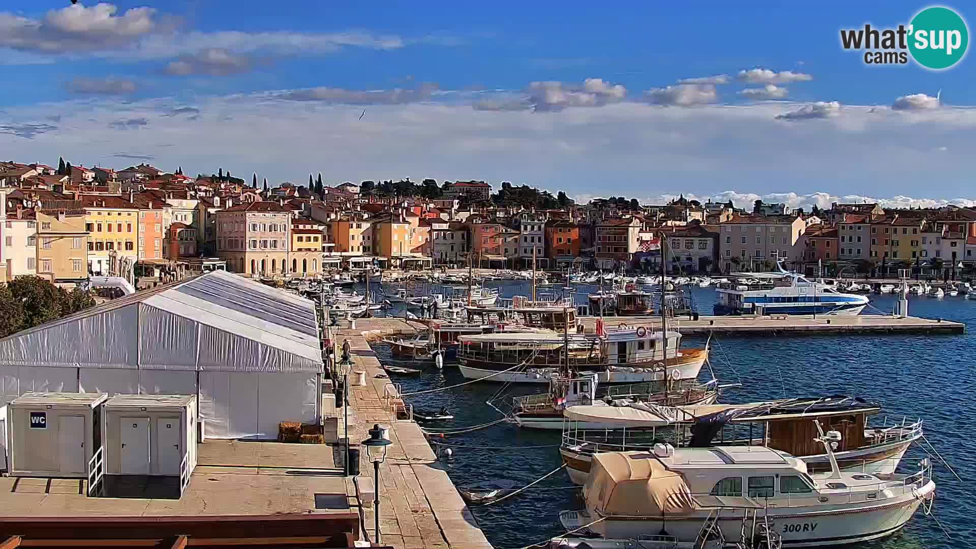 Rovinj webcam promenade and marina – Istria – Croatia