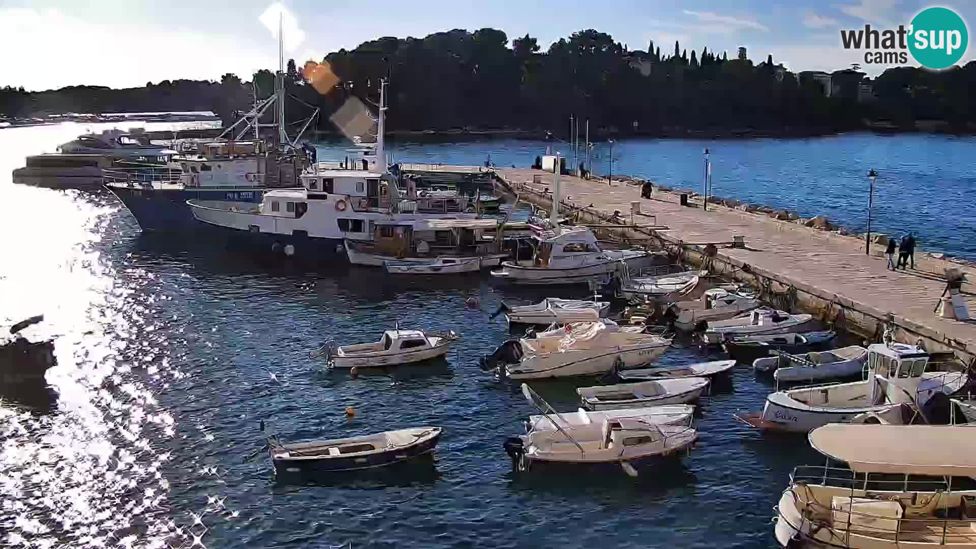 Webcam Rovinj Promenade – Istrien – Kroatien