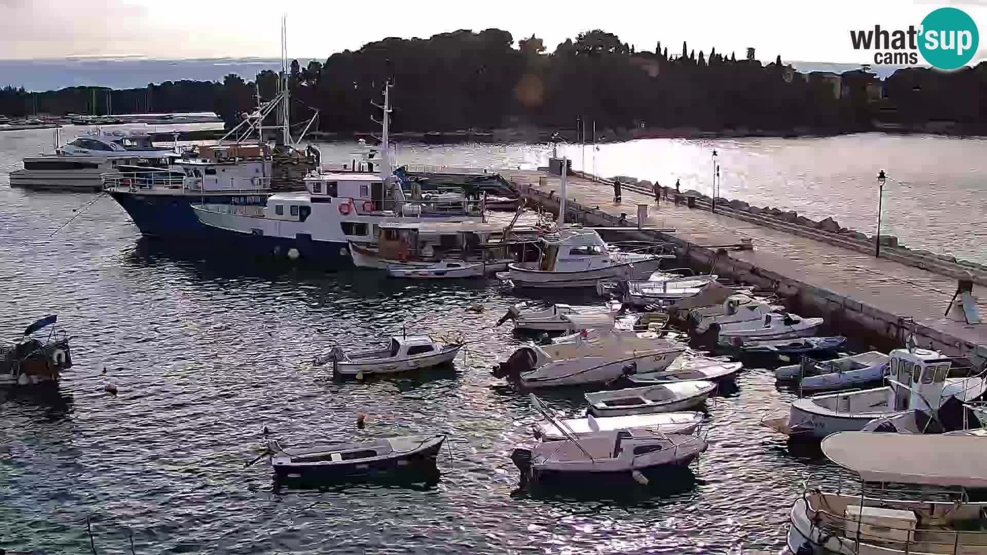 Promenade e marina en Rovinj