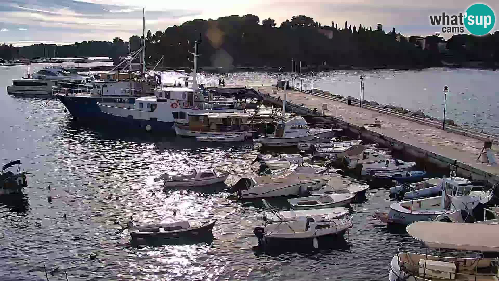 Promenada i marina u Rovinju