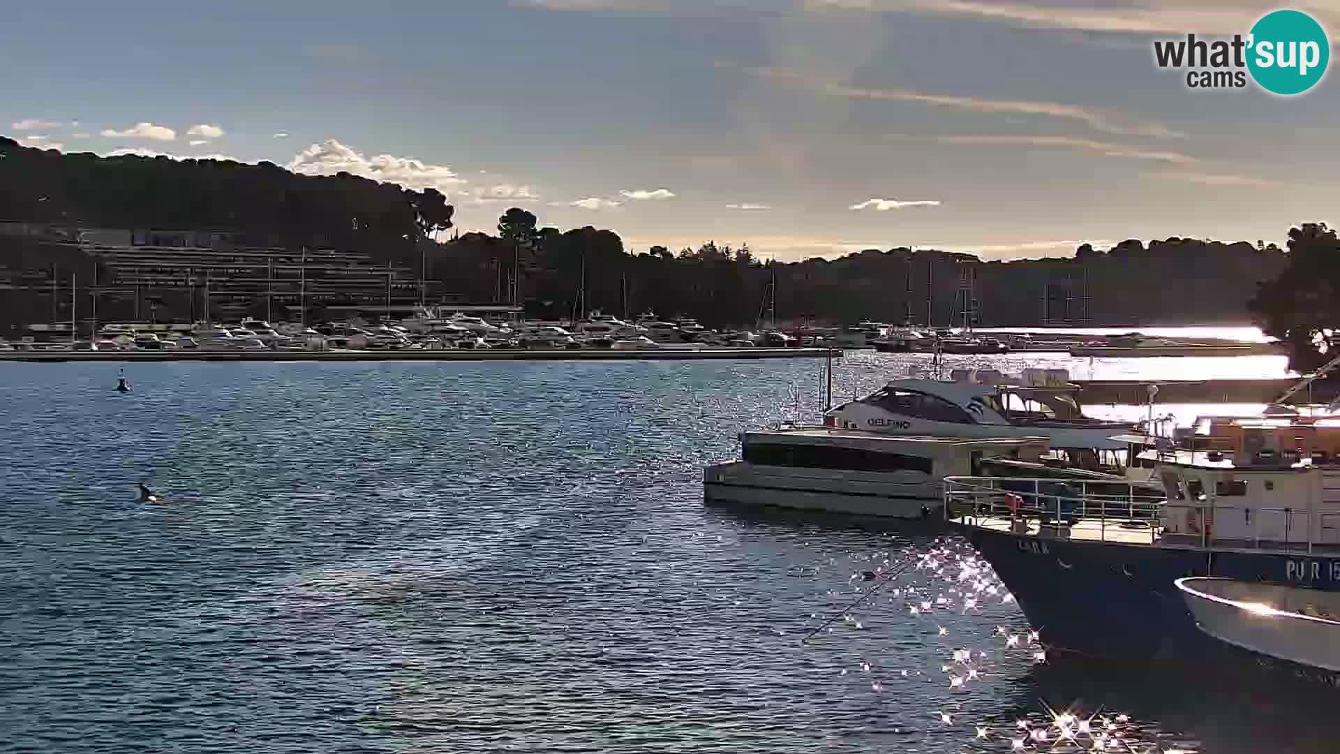 Webcam Rovinj Promenade – Istrien – Kroatien