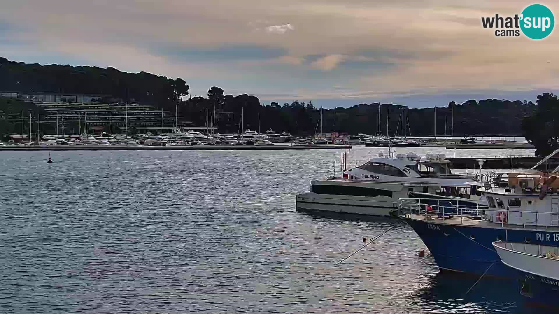 Promenade e marina en Rovinj