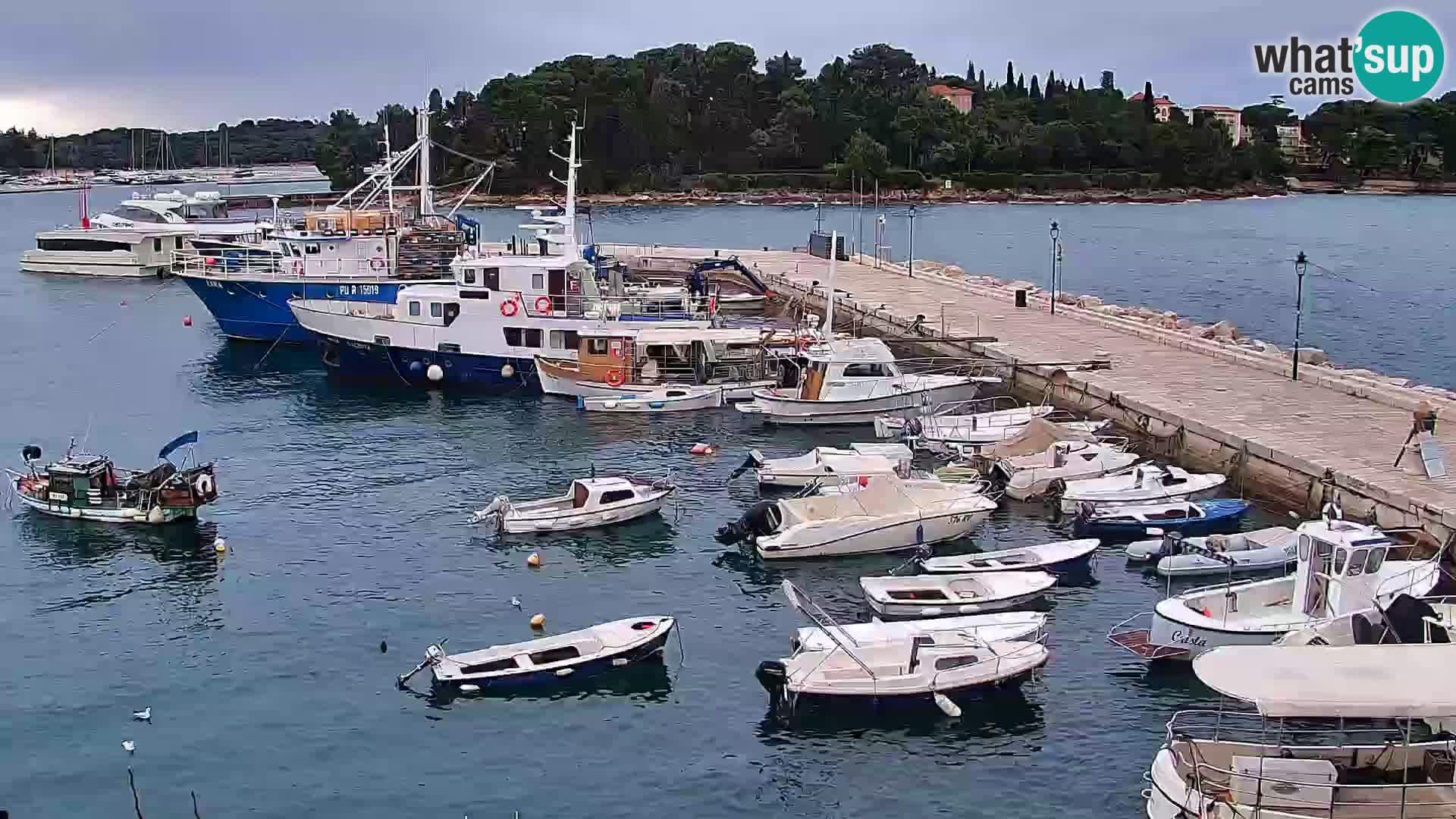 Rovinj webcam promenade and marina – Istria – Croatia