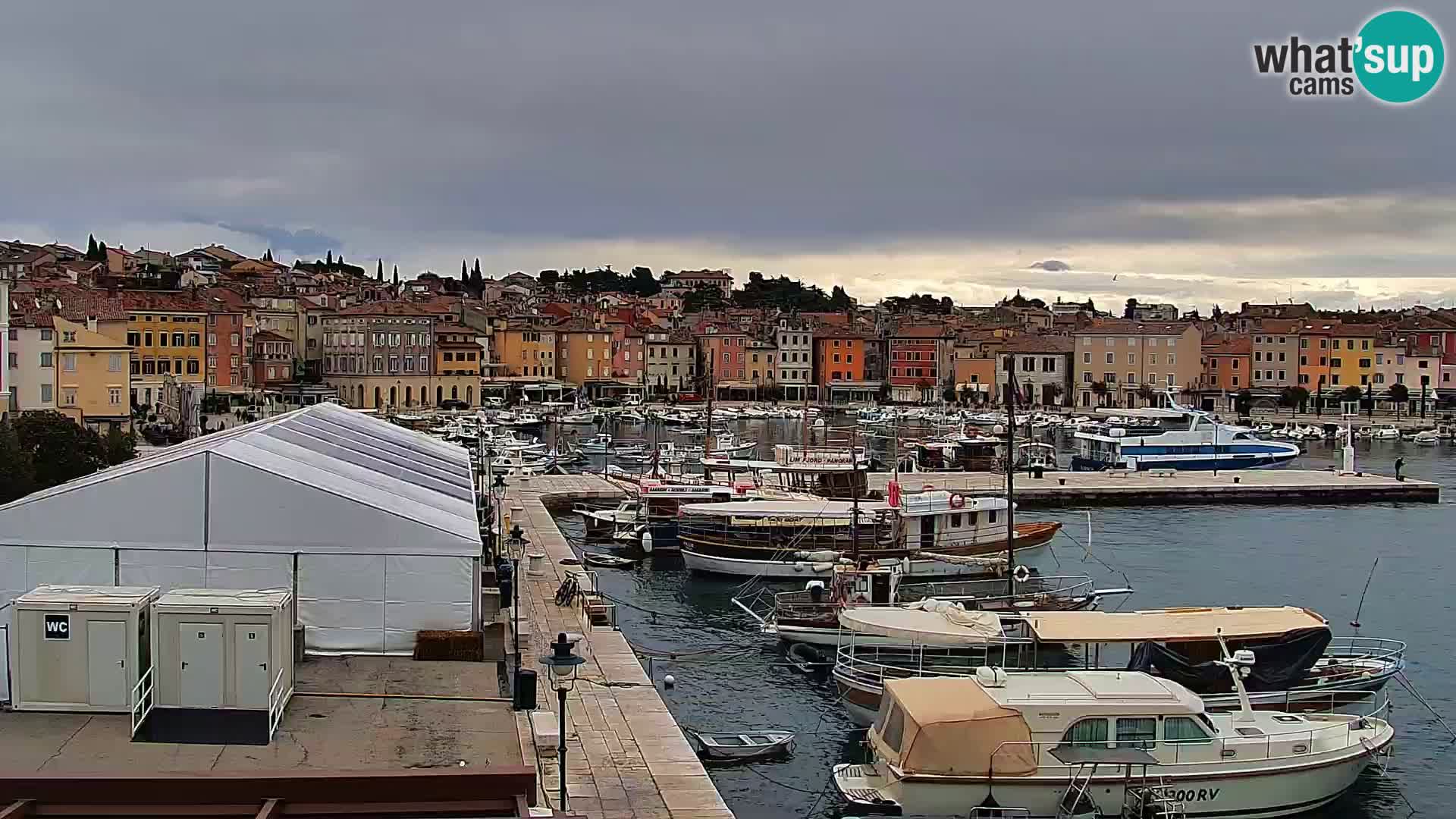 Rovinj webcam promenade and marina – Istria – Croatia