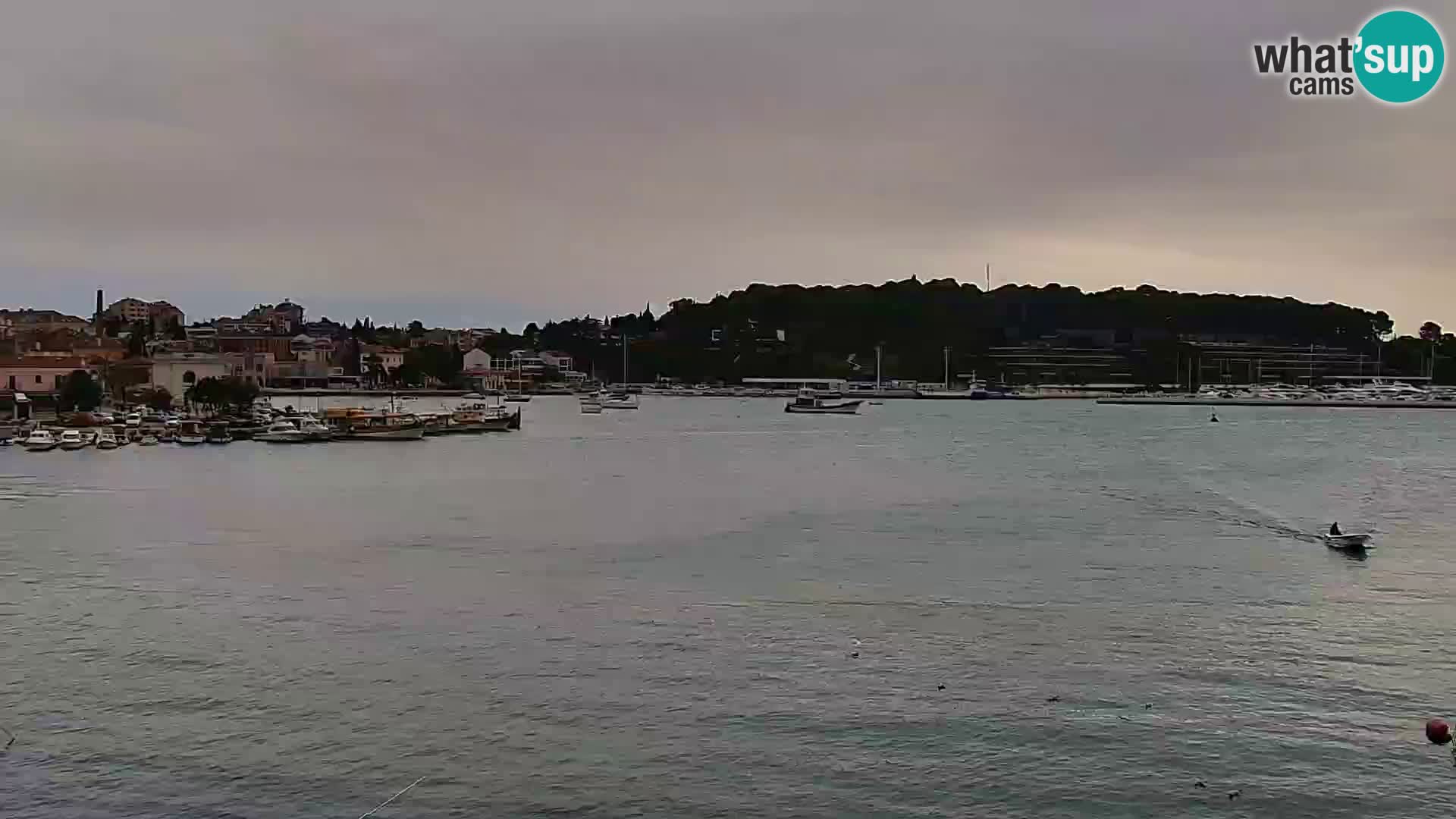 Promenade e marina en Rovinj