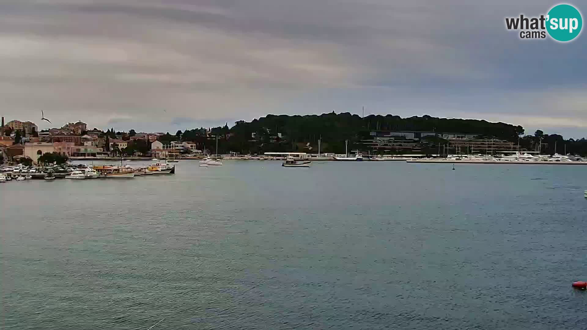 Promenade e marina a Rovinj