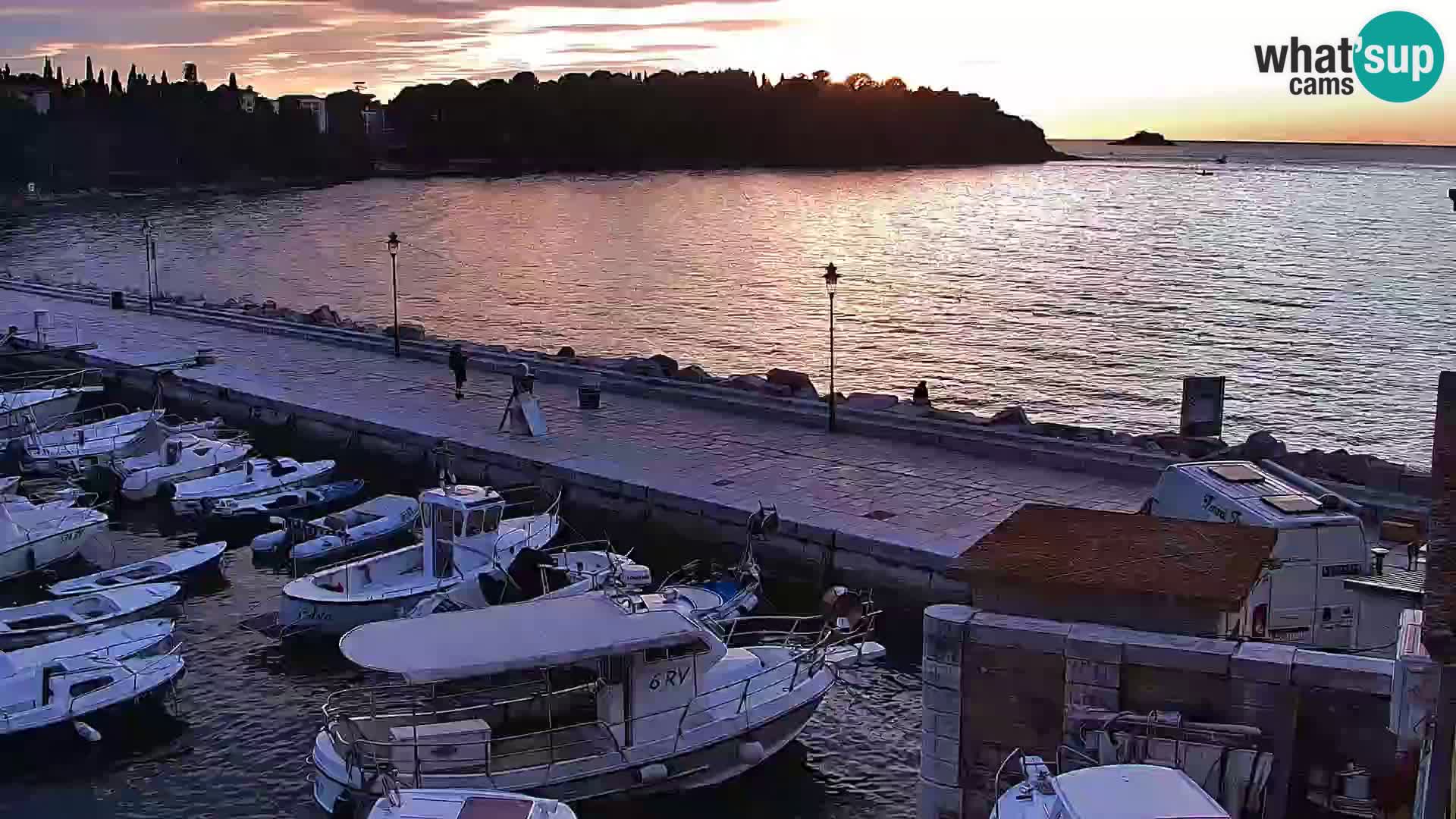 Spletna kamera Rovinj promenada in marina | Rovinj Vreme