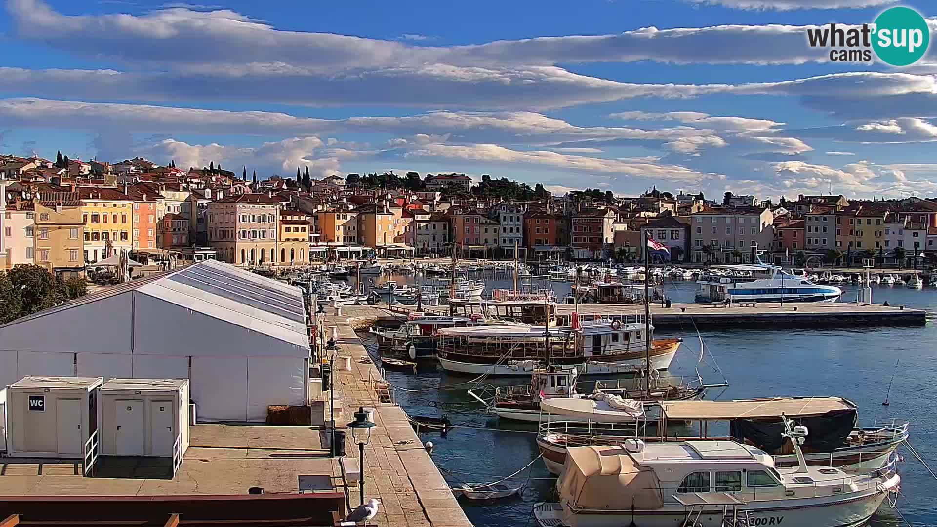 Webcam Rovigno marina | Lungomare | Rovinj Croazia