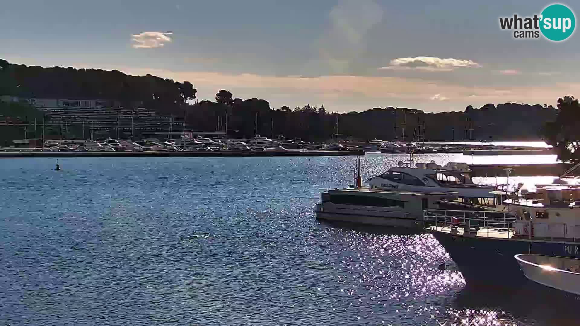 Webcam Rovigno marina | Lungomare | Rovinj Croazia