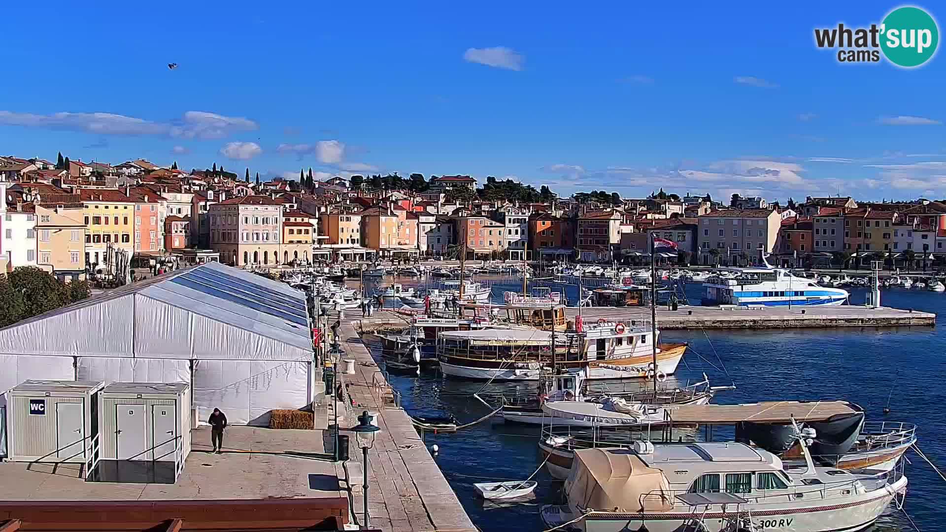 Webcam Rovinj Promenade – Istrien – Kroatien