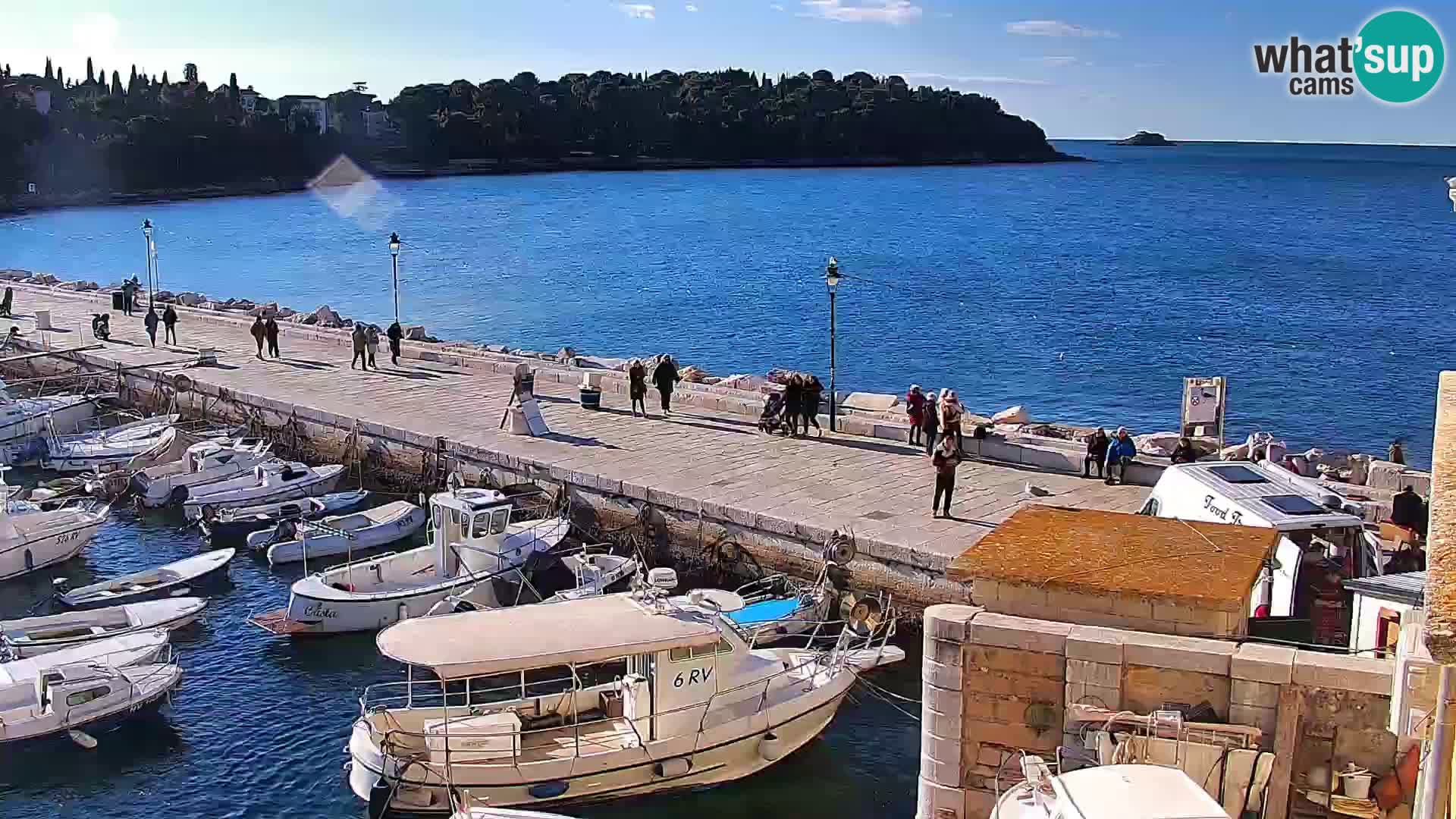 Promenade e marina en Rovinj