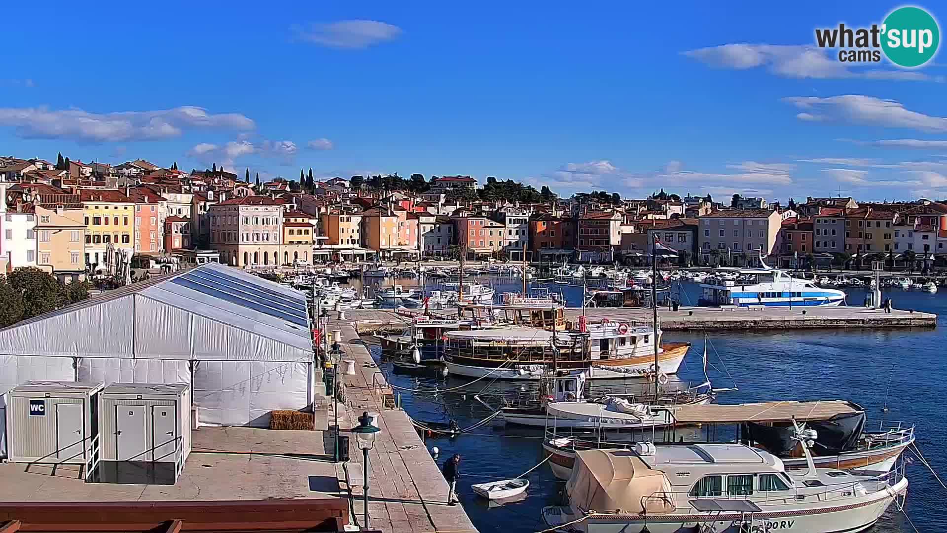 Webcam Rovigno marina | Lungomare | Rovinj Croazia