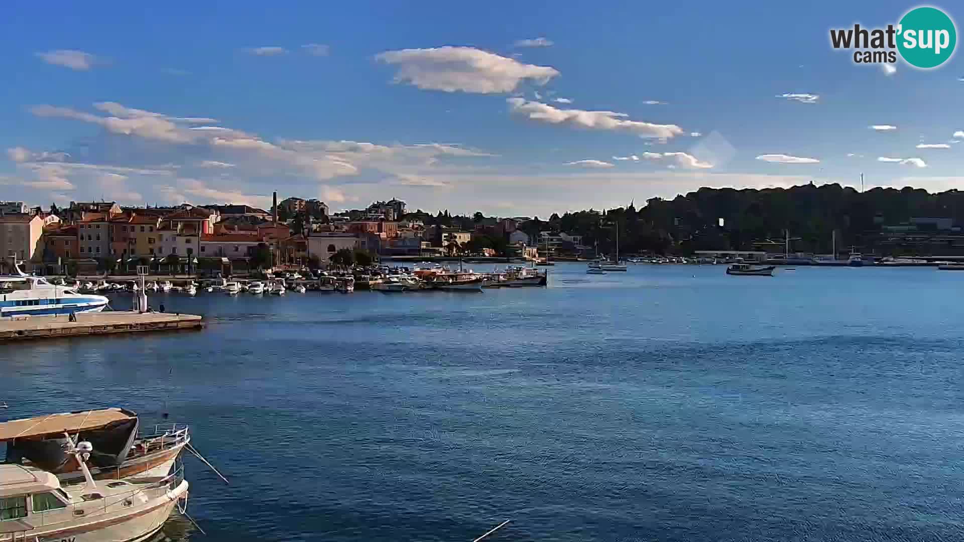 Rovinj webcam promenade and marina – Istria – Croatia