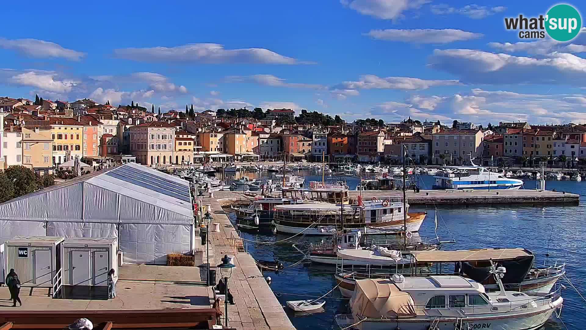 Webcam Rovigno marina | Lungomare | Rovinj Croazia