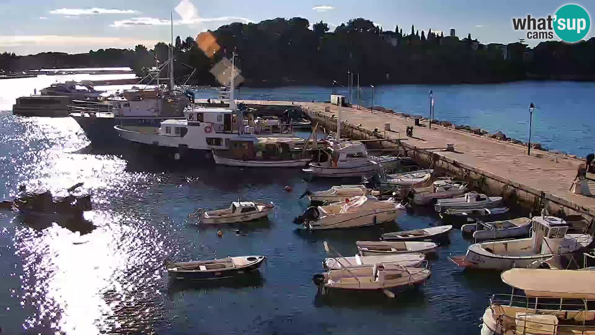 Webcam Rovigno marina | Lungomare | Rovinj Croazia