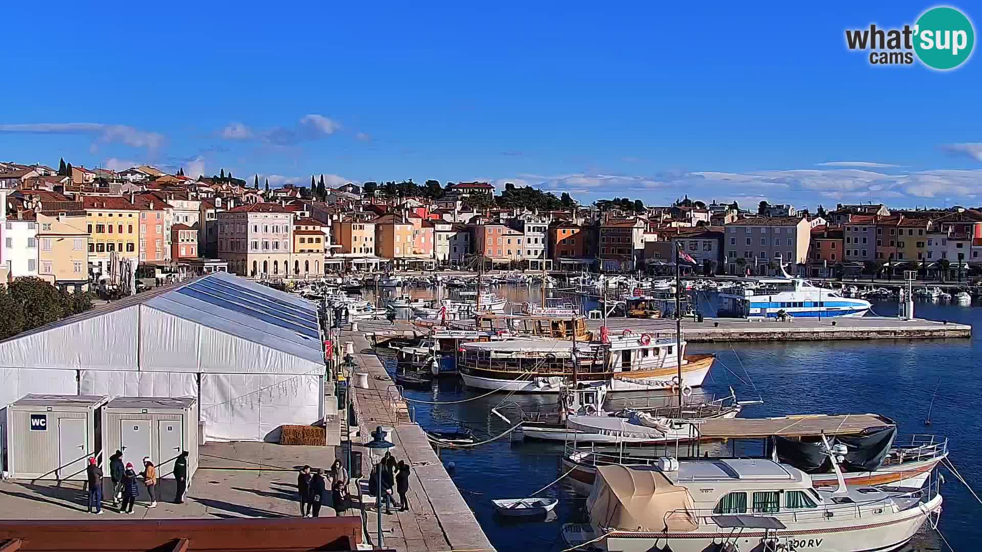 Rovinj webcam promenade and marina – Istria – Croatia