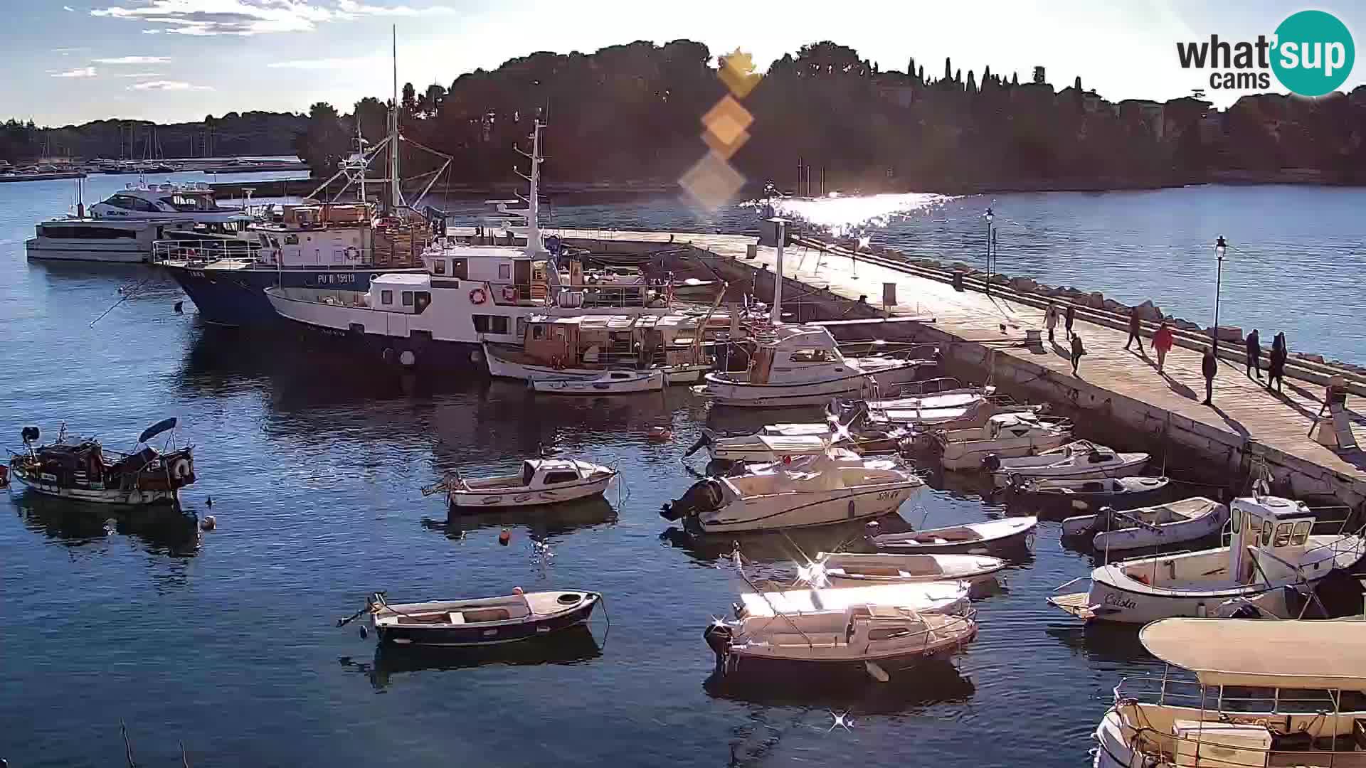 Rovinj webcam promenade and marina – Istria – Croatia