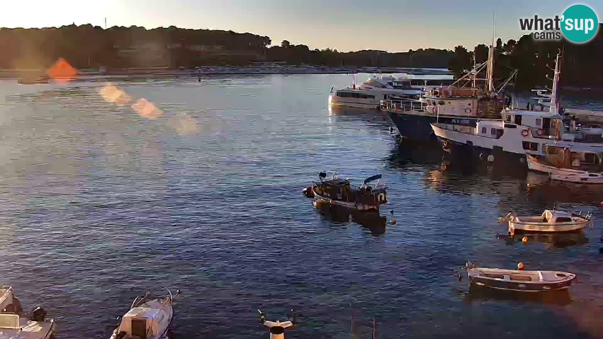 Rovinj webcam promenade and marina – Istria – Croatia