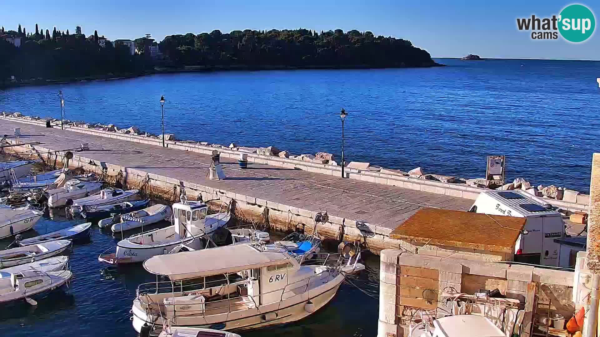 Rovinj webcam promenade and marina – Istria – Croatia