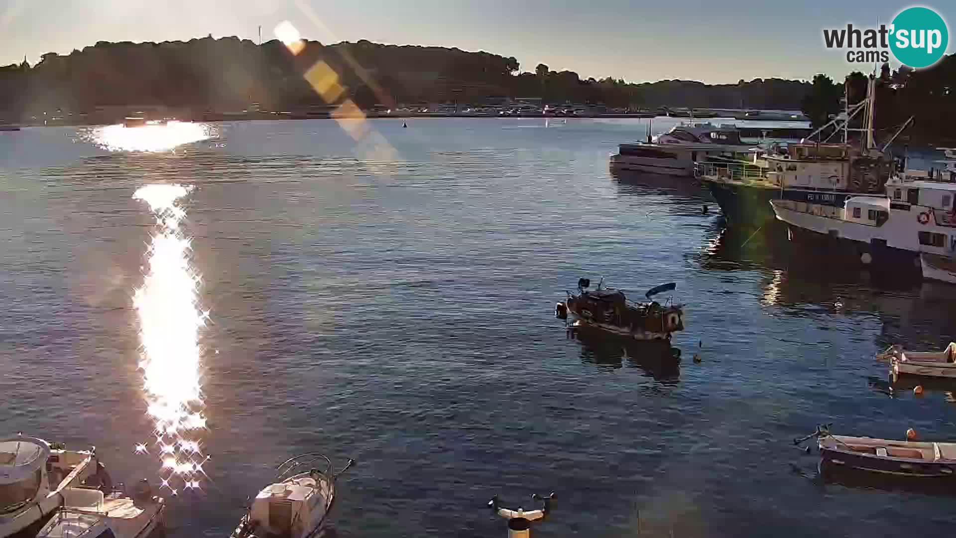 Promenade e marina a Rovinj