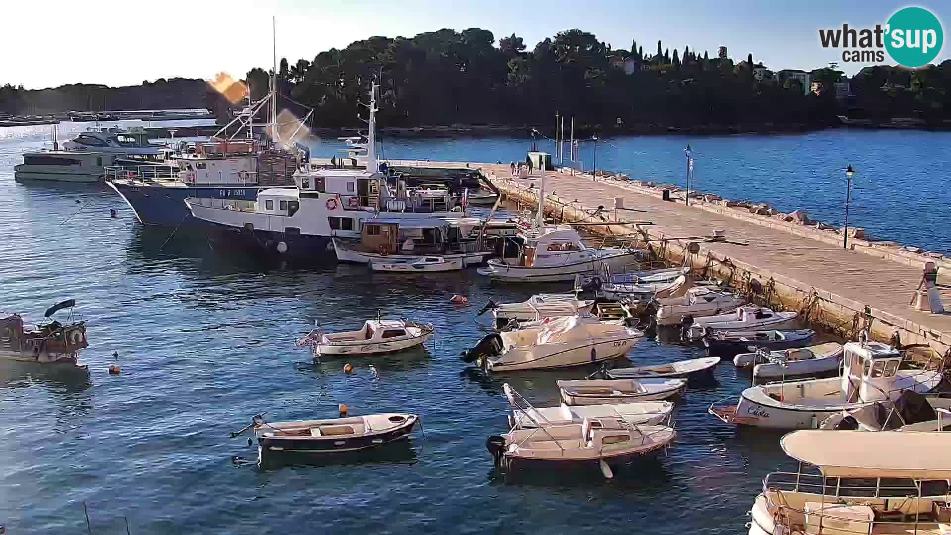 Promenade e marina en Rovinj