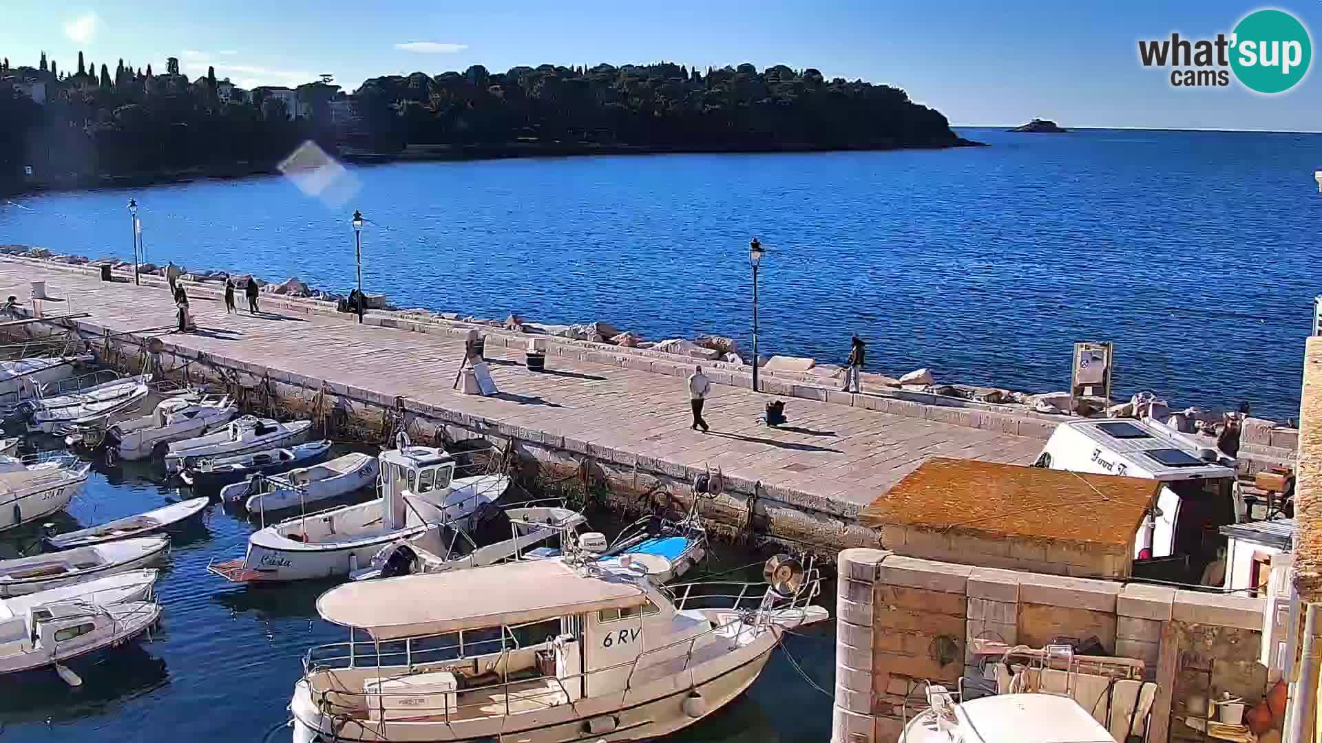 Rovinj webcam promenade and marina – Istria – Croatia