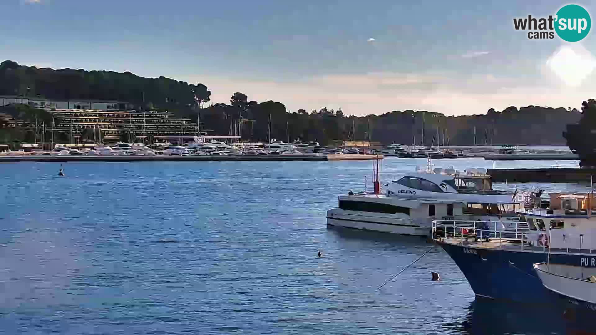 Promenade e marina a Rovinj