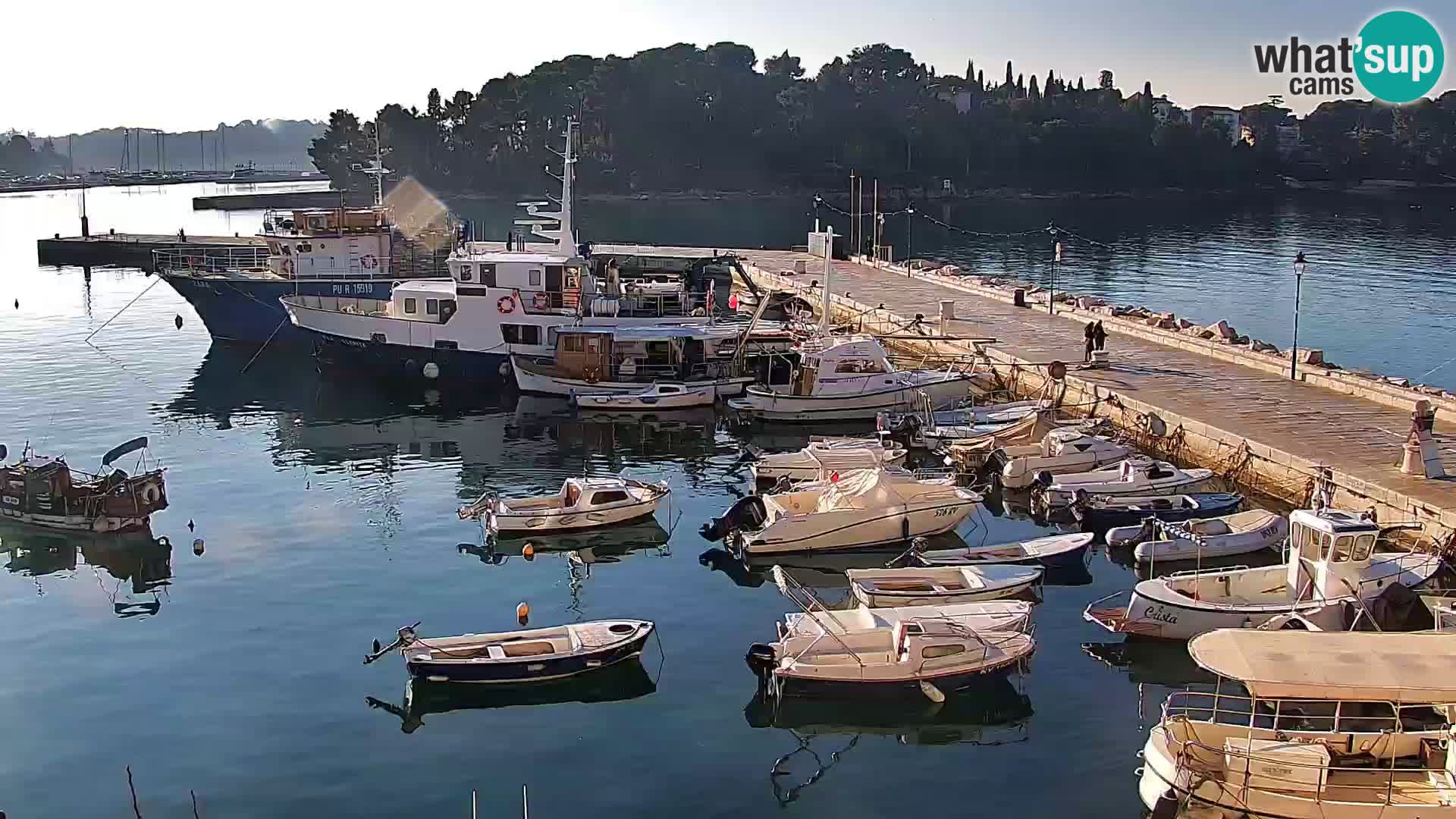 Seaside promenade and marina in Rovinj webcam – Istria – Croatia