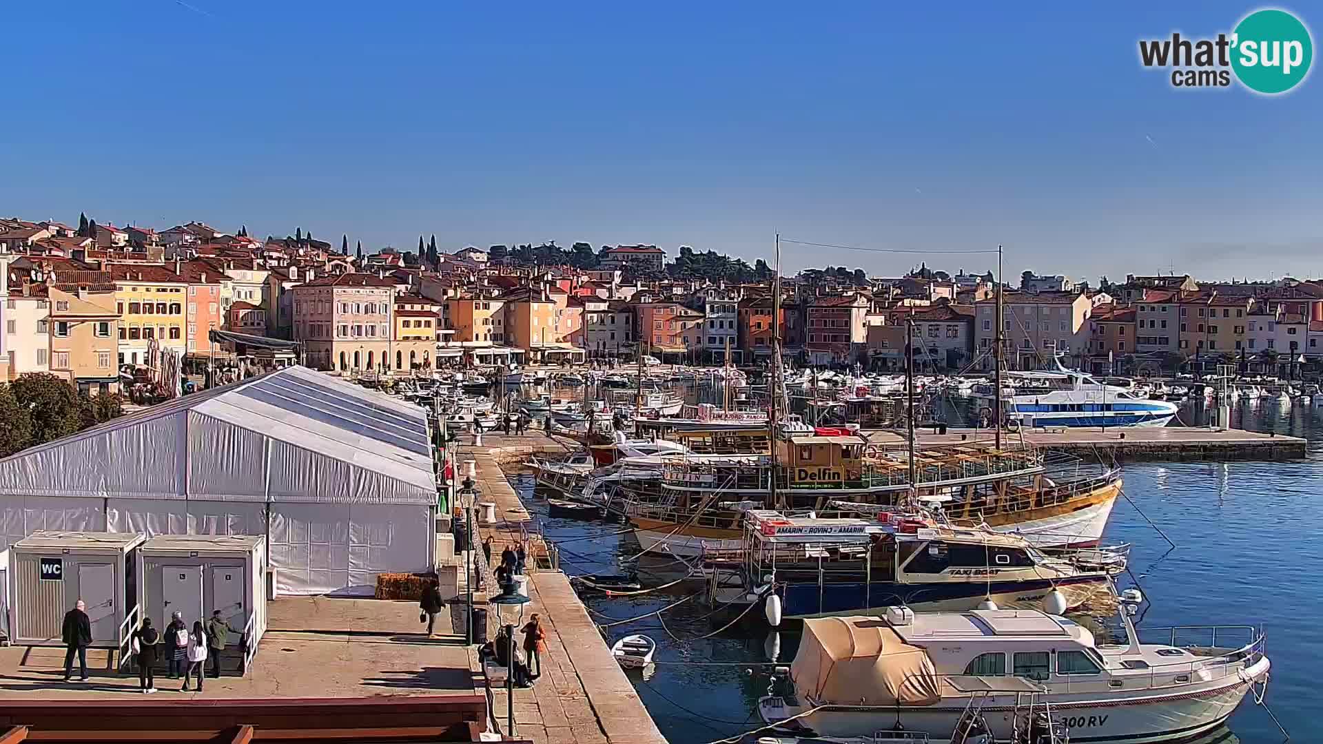 Seaside promenade and marina in Rovinj webcam – Istria – Croatia