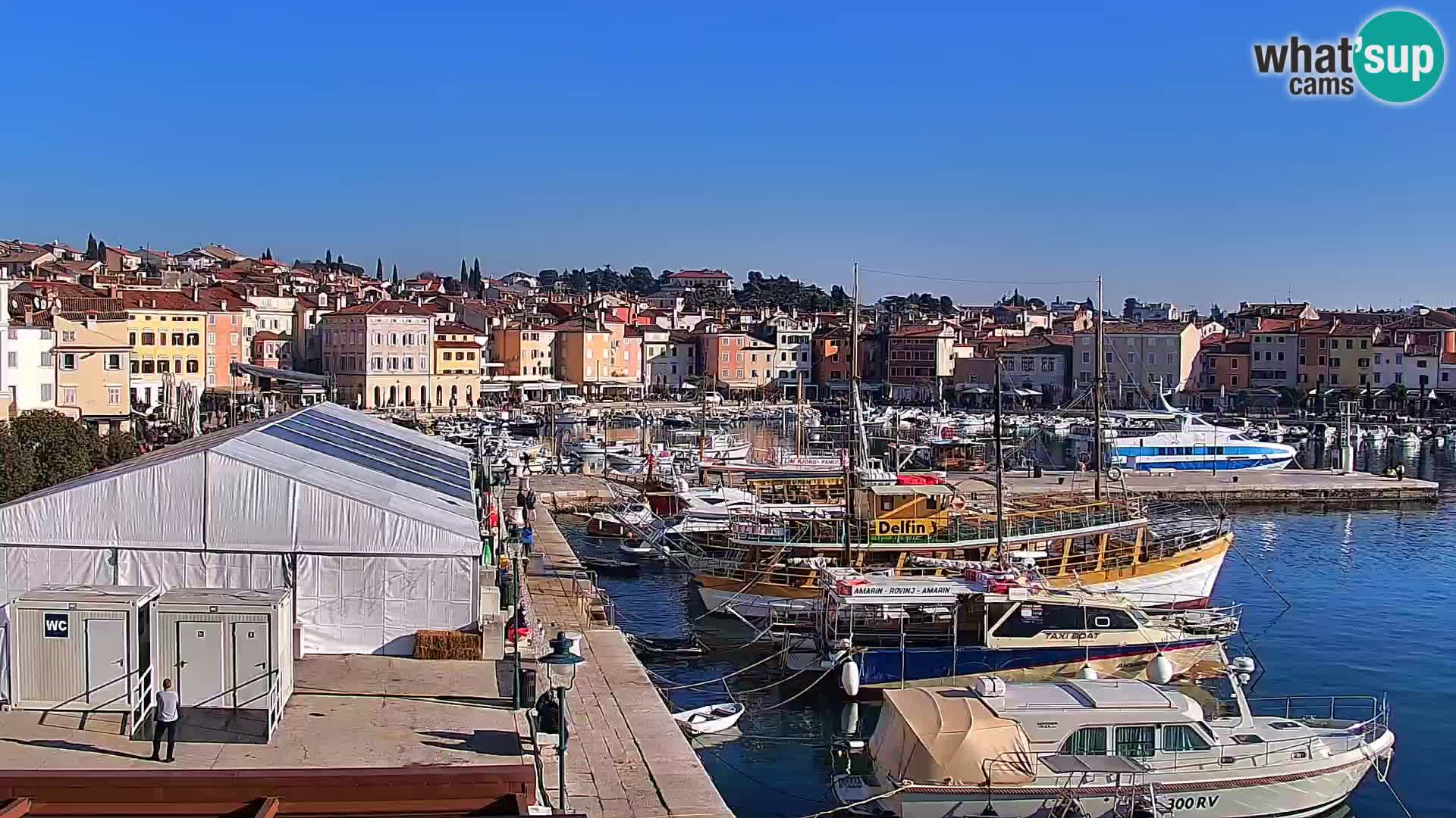 Seaside promenade and marina in Rovinj webcam – Istria – Croatia