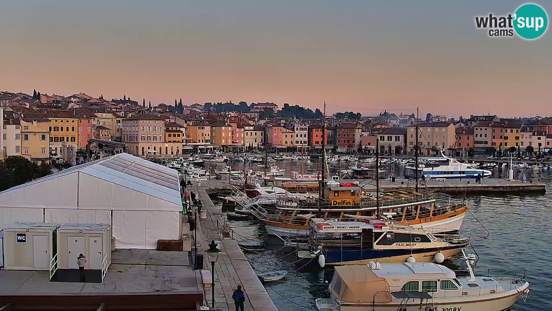 Seaside promenade and marina in Rovinj webcam – Istria – Croatia