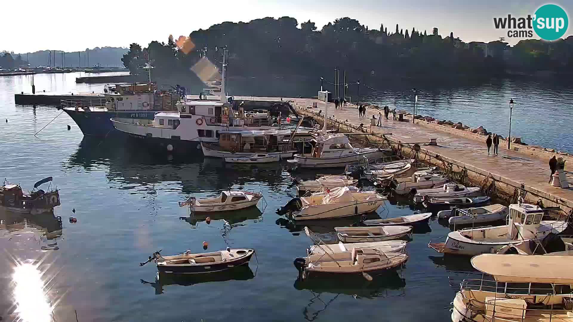 Promenade und marina in Rovinj webcam – Istrien – Kroatien