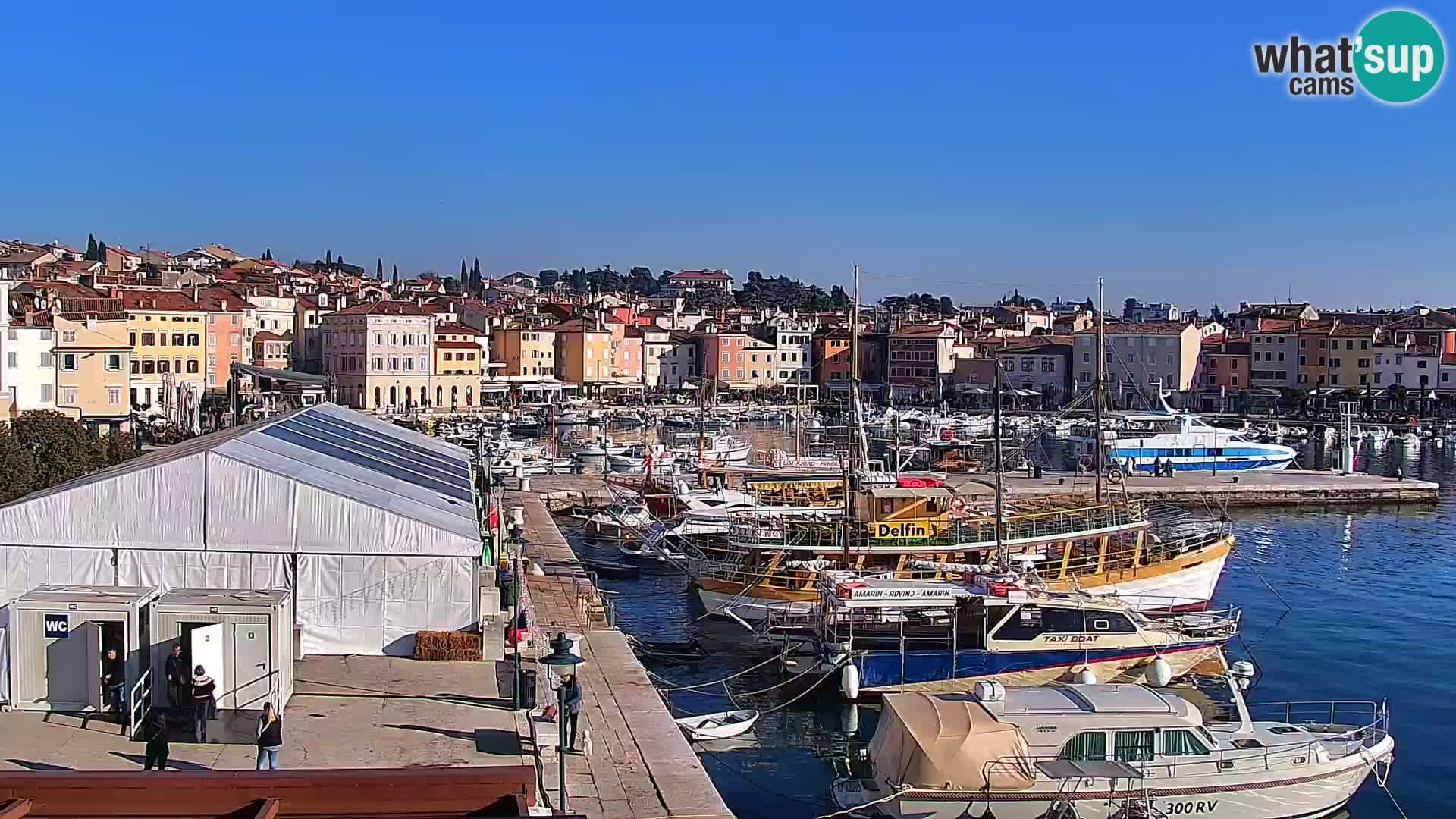 Promenada in marina v Rovinju