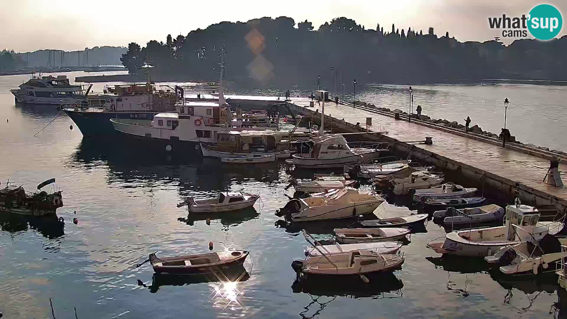 Promenade e marina en Rovinj