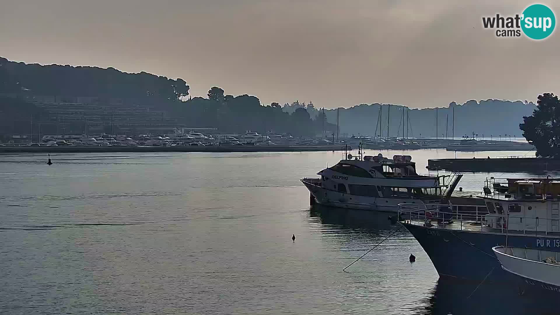 Rovinj webcam promenade and marina – Istria – Croatia