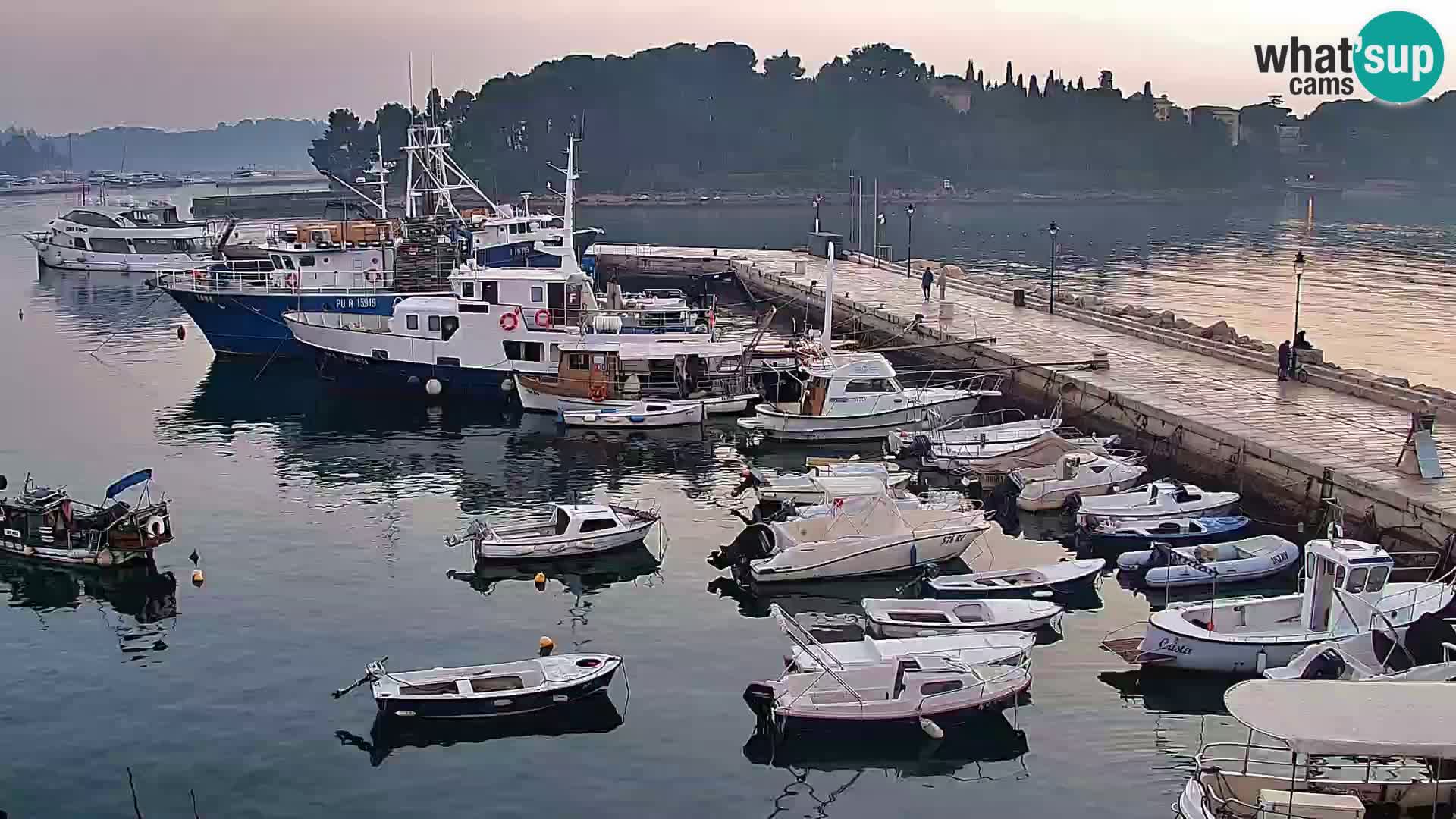 Rovinj webcam promenade and marina – Istria – Croatia