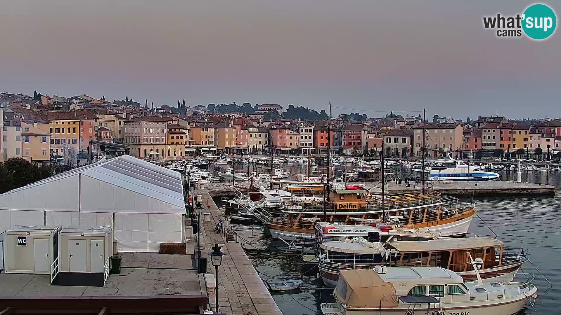 Rovinj webcam promenade and marina – Istria – Croatia