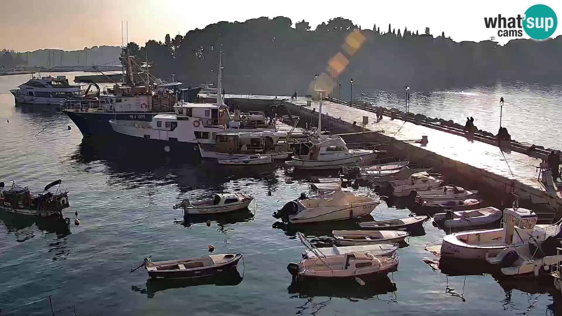 Webcam Rovigno marina | Lungomare | Rovinj Croazia