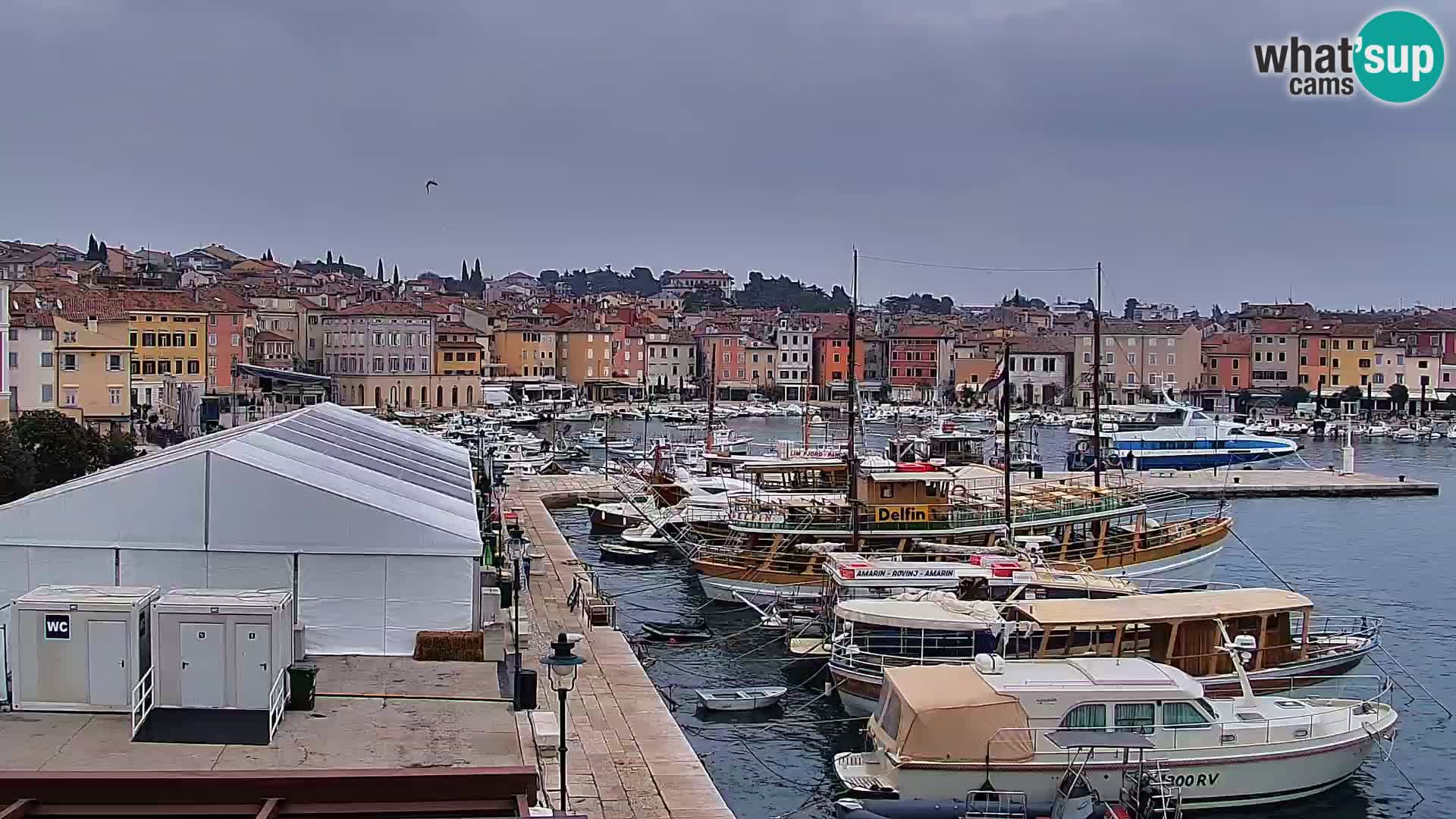 Promenade und marina in Rovinj webcam – Istrien – Kroatien