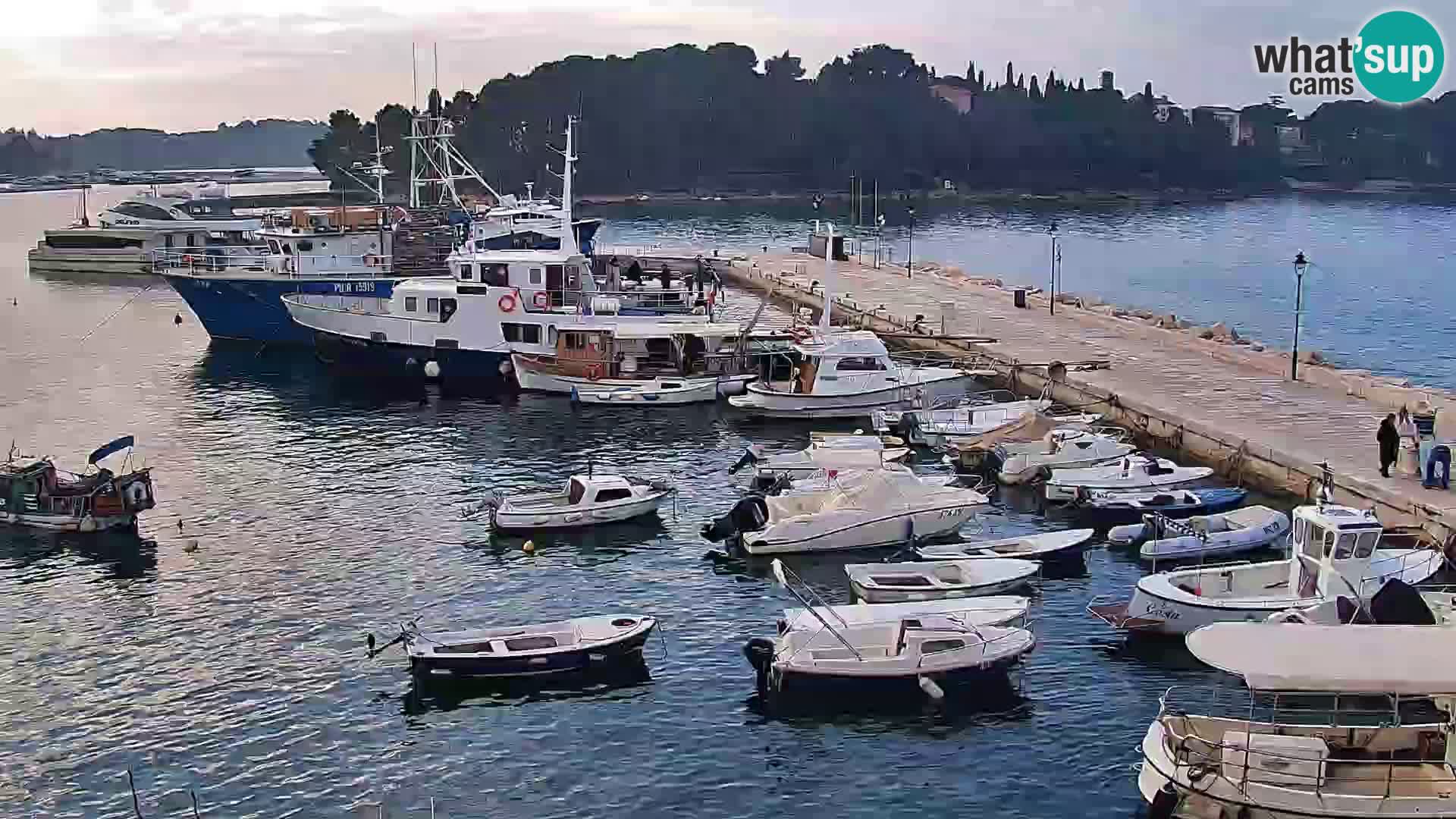 Promenada in marina v Rovinju