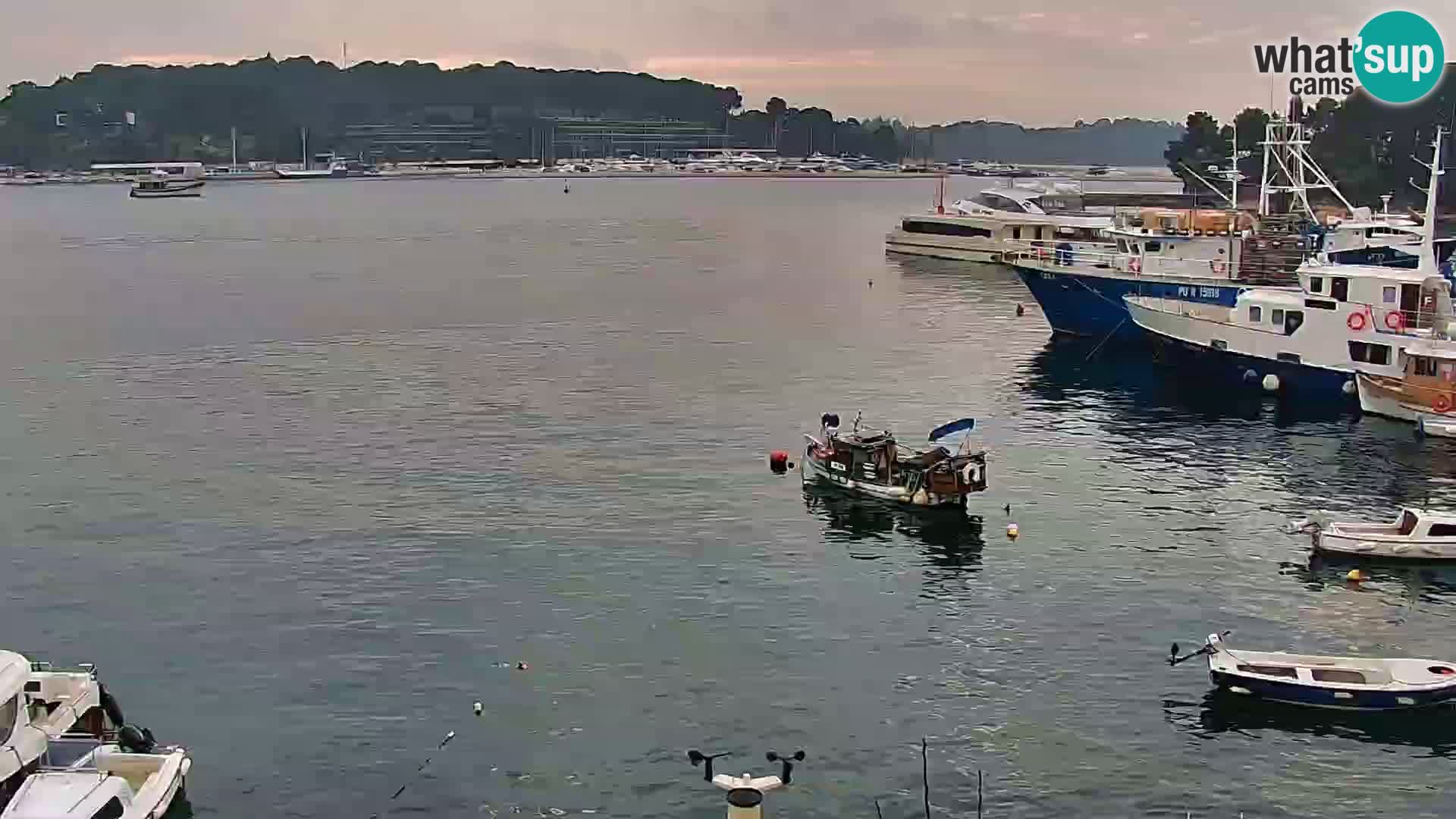 Seaside promenade and marina in Rovinj webcam – Istria – Croatia