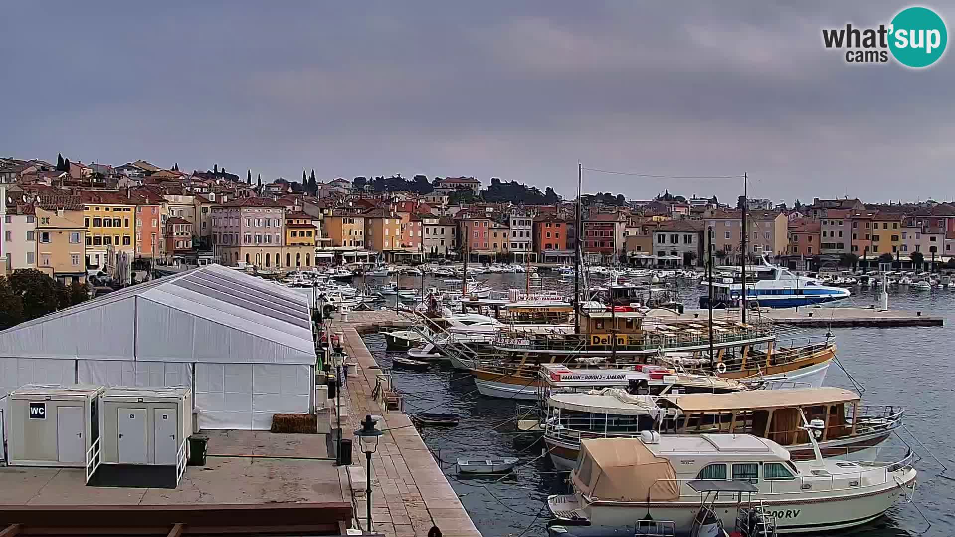 Seaside promenade and marina in Rovinj webcam – Istria – Croatia