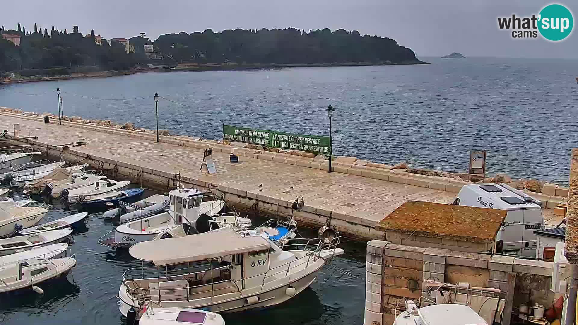 Webcam Rovigno marina | Lungomare | Rovinj Croazia