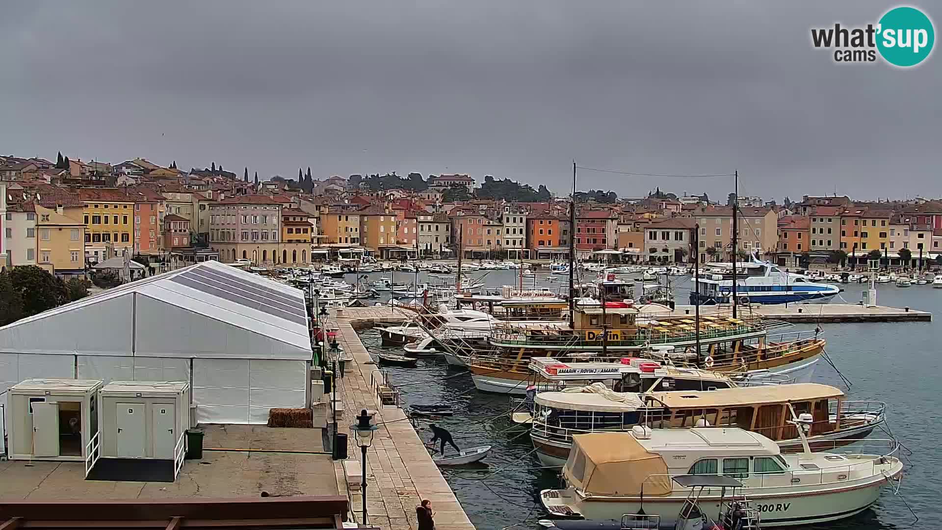 Promenade e marina en Rovinj