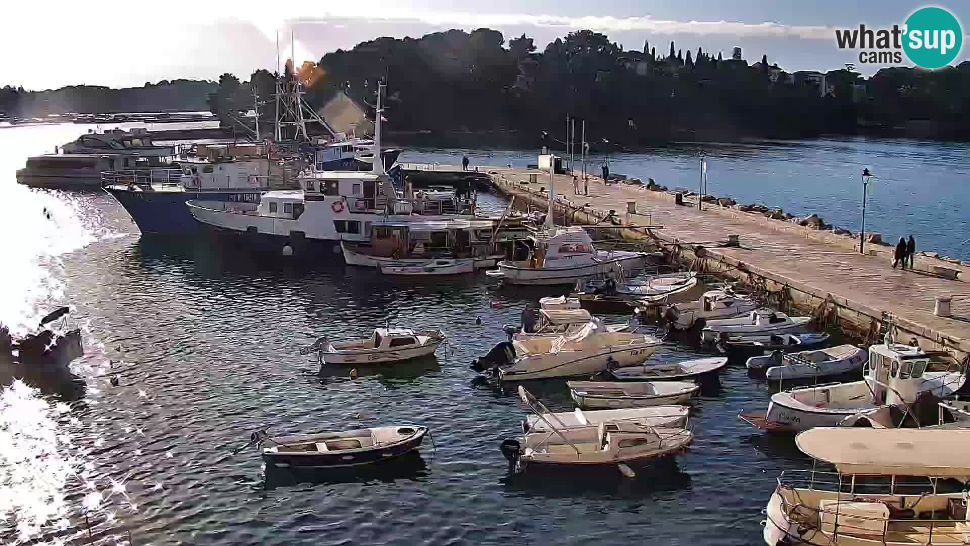 Webcam Rovigno marina | Lungomare | Rovinj Croazia