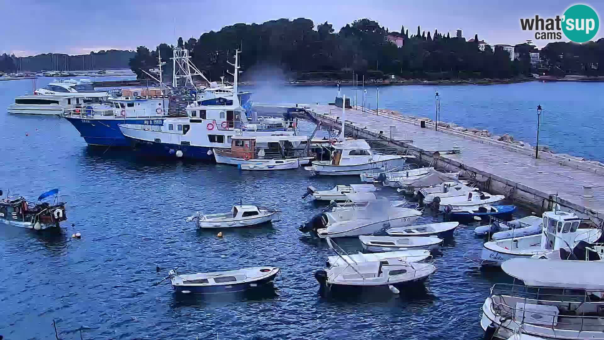 Promenade e marina en Rovinj