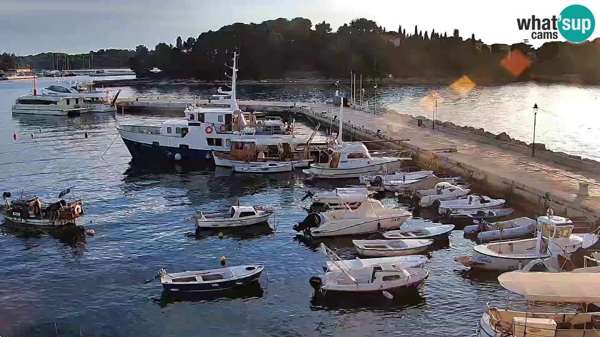 Rovinj webcam promenade and marina – Istria – Croatia