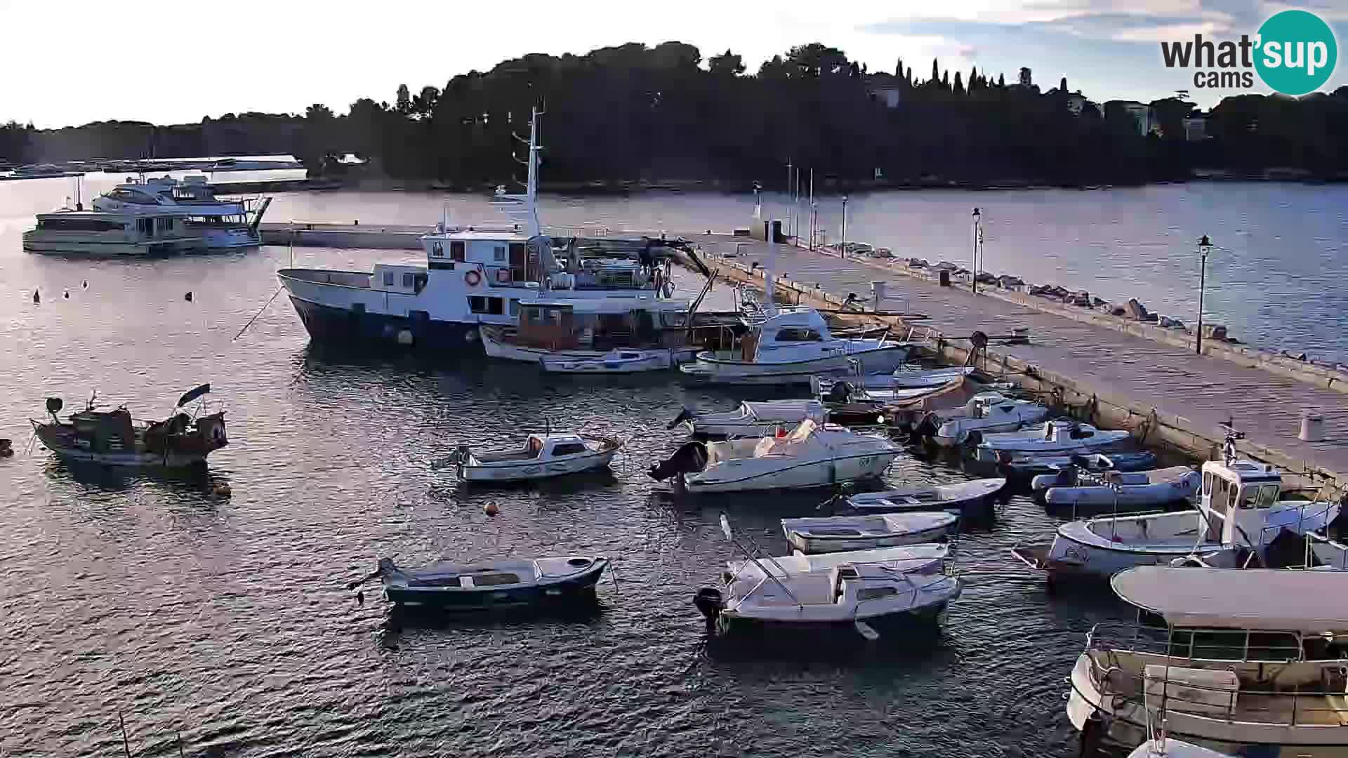 Promenade e marina en Rovinj